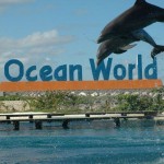 Ocean World Adventure Park in Puerto Plata