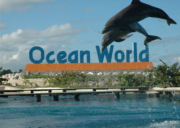 Ocean World Dominican Republic